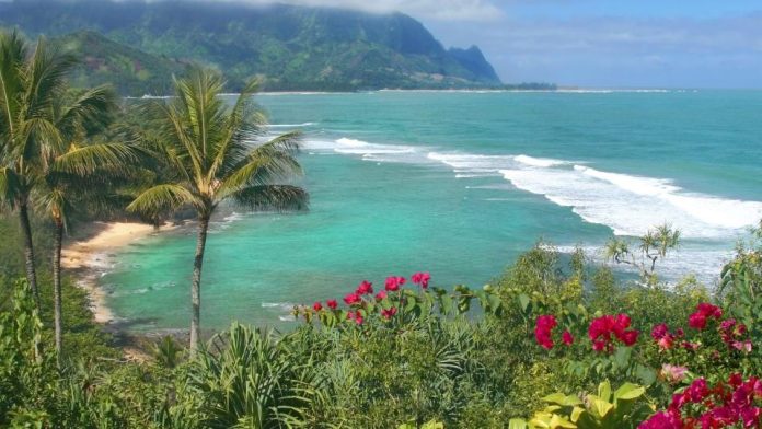 7 Reasons $1 Million Will Only Last You 9 Years in Retirement in Hawaii